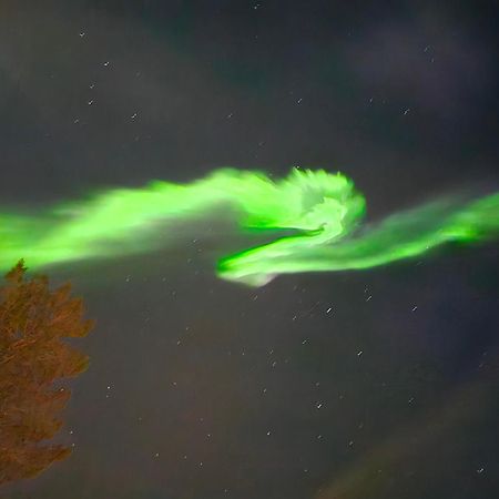 Innholdsrik Og Koselig Leilighet I Svolvaer Lofoten المظهر الخارجي الصورة